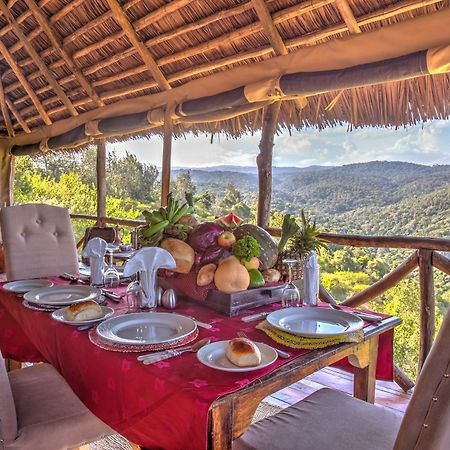 Ngorongoro Forest Tented Lodge Karatu Esterno foto